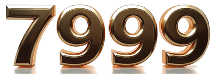 7999 logo